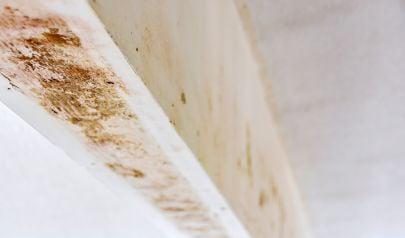 Storm Damage Preparedness and Water Restoration in Hamilton Homes