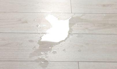 Emergency Restoration Planning for Weston Property Owners