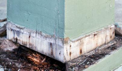 Water Damage Restoration That Lasts: Why Surface Repairs Aren't Enough for Your Kirkland Home