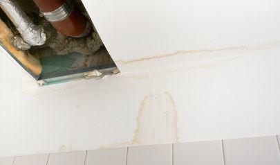 Why Mold Problems Often Appear Weeks After Water Damage in Rocky River Homes