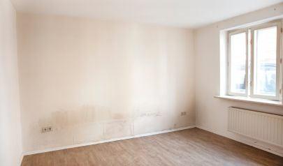 Learn How Kennesaw Homes Benefit from Professional Mold Mitigation