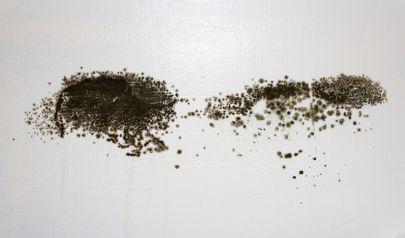 Practical Benefits of Professional Mold Inspection in Marietta