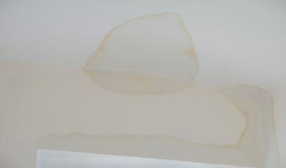 The Night the Water Came In: What Monroe Homeowners Need to Know About Water Damage Restoration