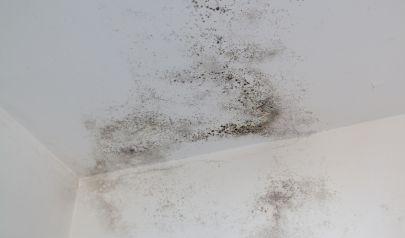 Water Damage Restoration for Hurricane Season in Deerfield Beach