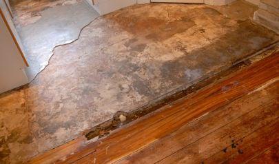 Osmosis in Action: Water Damage Restoration for Hamilton Homes Is Multi-Phase