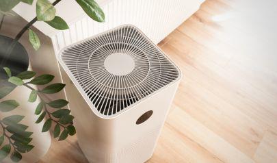 Celebrate Clean Air Month: Steps to Improve Your Indoor Air
