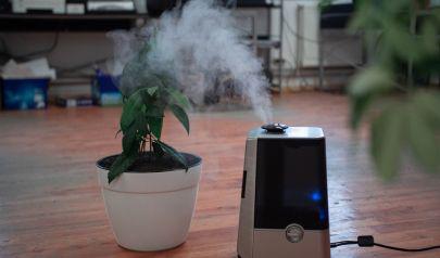Preventing Winter Mold: Why Cold Weather Changes How Moisture Behaves Indoors