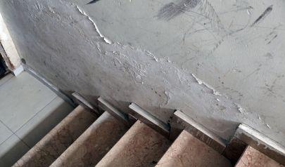 Understanding the Role of Moisture in Mold Production