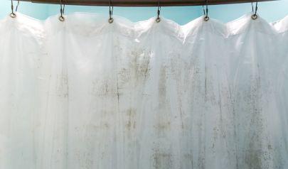 Mold Inspection Includes Surface Sampling for Spore Identification