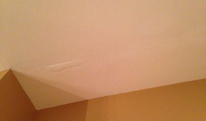 Water Mitigation and Mold Prevention Work Hand-in-Hand