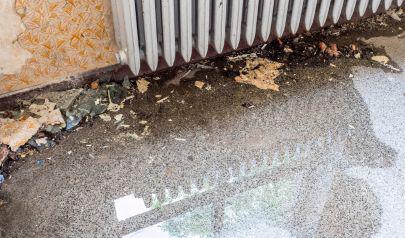 Water Mitigation Technology