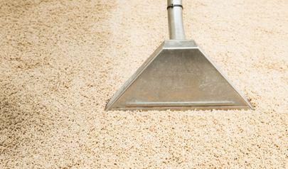 Water Removal Rock Hill: How Water Damage Tells a Story About Your Property