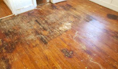 How Professional Restoration Can Save Your Home with Flood Damage Cleanup
