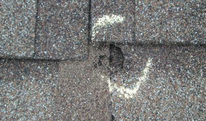 After the Storm: How to Assess for Water Damage in Your Home Year-Round