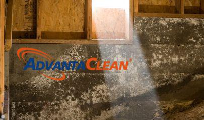 A Crawl Space Should Not Have a Pest Problem