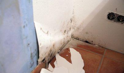 Water Damage Restoration Cartersville: Emergency Repairs & Mitigation