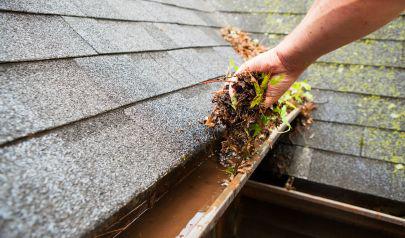 Cleaning up Deerfield Beach Properties with Skilled Storm Damage Cleanup