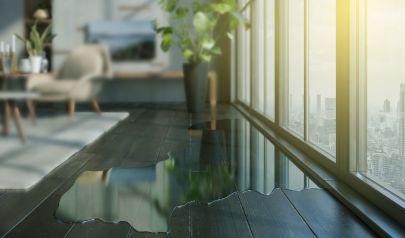 When to Tear Out and When to Dry Weston Properties