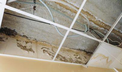 Importance of Professional Assessment of New Rochelle Water Damage