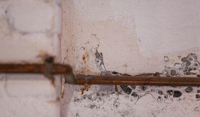 Preparing Deerfield Beach Properties for a Healthier and Drier Season
