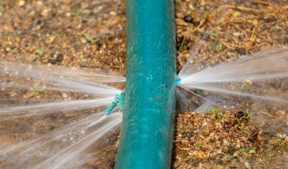 Stop Water Damage After a Plumbing Failure in Dunwoody