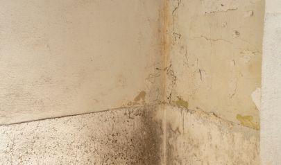 Washing Machine Water Damage Restoration near Dunwoody