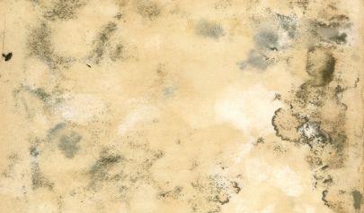 Hidden Water Damage Warning Signs in Cumming Georgia Homes