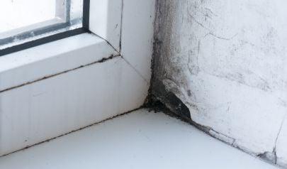 Fairfield Township Water Damage Restoration: Behind the Walls