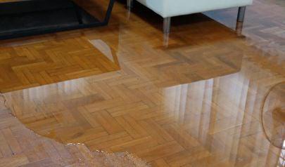 Flood Damage Cleanup in Acworth Homes Should Begin Immediately