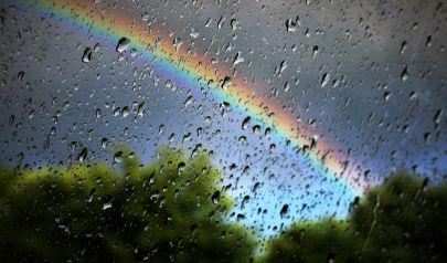 April Showers Bring May Flowers…and the Potential for Water Damage