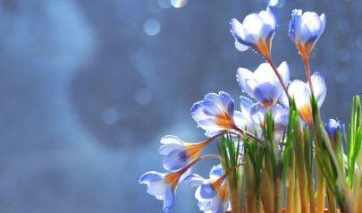 Spring Thaw Conditions That Can Lead to Water Damage