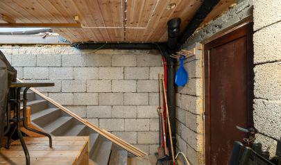 Basement Mold Conditions That Develop After Winter