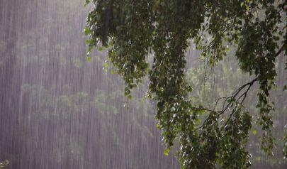 Spring Rainfall Can Quietly Create Serious Water Damage