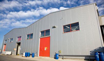 Practical Pointers for Protecting Your Business from Mold After Summer Storms