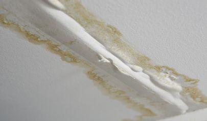 Hire Skilled Mold Removal Services in Sandy Springs