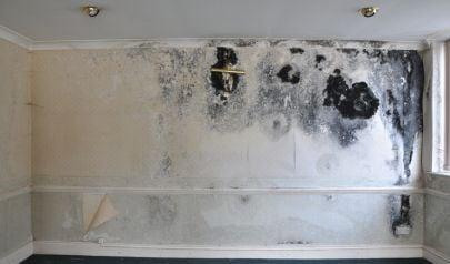 Water Extraction in Hamilton: Stopping Damage Before It Spreads