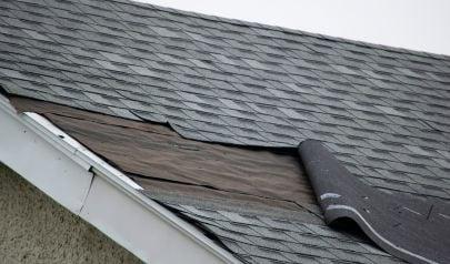 Things to Add to Your Bellevue, Washington Storm Damage Cleanup List