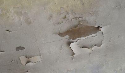 What Union County Homeowners Should Understand About Water Before It Becomes a Problem