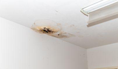 Why Mold Growth in Avon Lake Homes Often Begins With Airflow Problems, Not Flooding