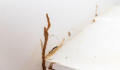 Executing Water Damage Repairs After a Property Fire in Fairfield