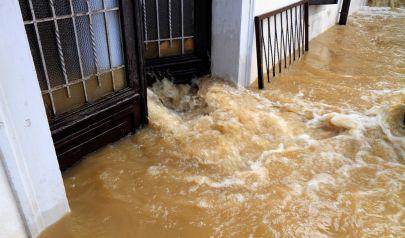 Shield Your Dunwoody Home from Basement Flooding - Expert Solutions and Restoration by AdvantaClean