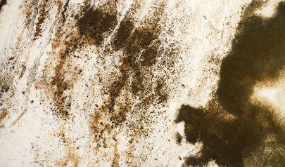Tackling Mold Remediation in HVAC Systems In Marietta Properties