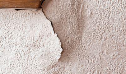 Mold Removal Tips from a Trusted Sandy Springs Local Business