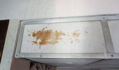 24/7 Water Damage Repair in Buford Ensures Safety