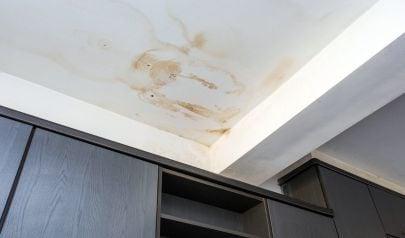 Water Mitigation and Odor Control Using ULV Fogging