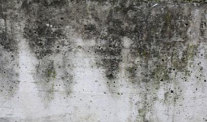 Itchy Eyes and Runny Nose: Seasonal Allergies or Mold?