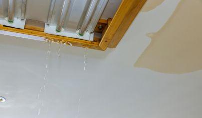 Shoreline Water Mitigation Services Increase Efficiency with Extraction