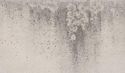 Mold Inspection Near Norcross and Buford: Steps to a Healthy Home