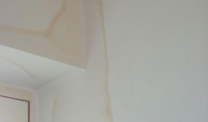 Water Mitigation in Bothell: Stopping Water Damage Before It Starts