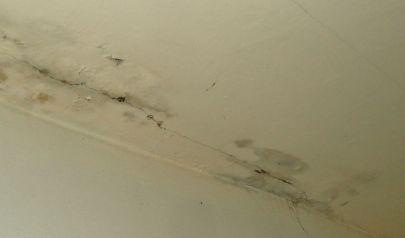 Dehumidifiers Are the Centerpiece of Carter's Water Damage Restoration